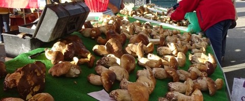 Ceps on the market
