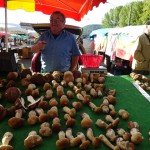 Ceps on the market