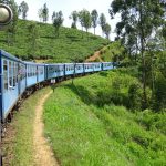 train through tea plantations