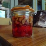 Rhubarb and berry Gin
