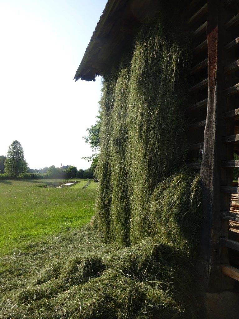 Hay drying