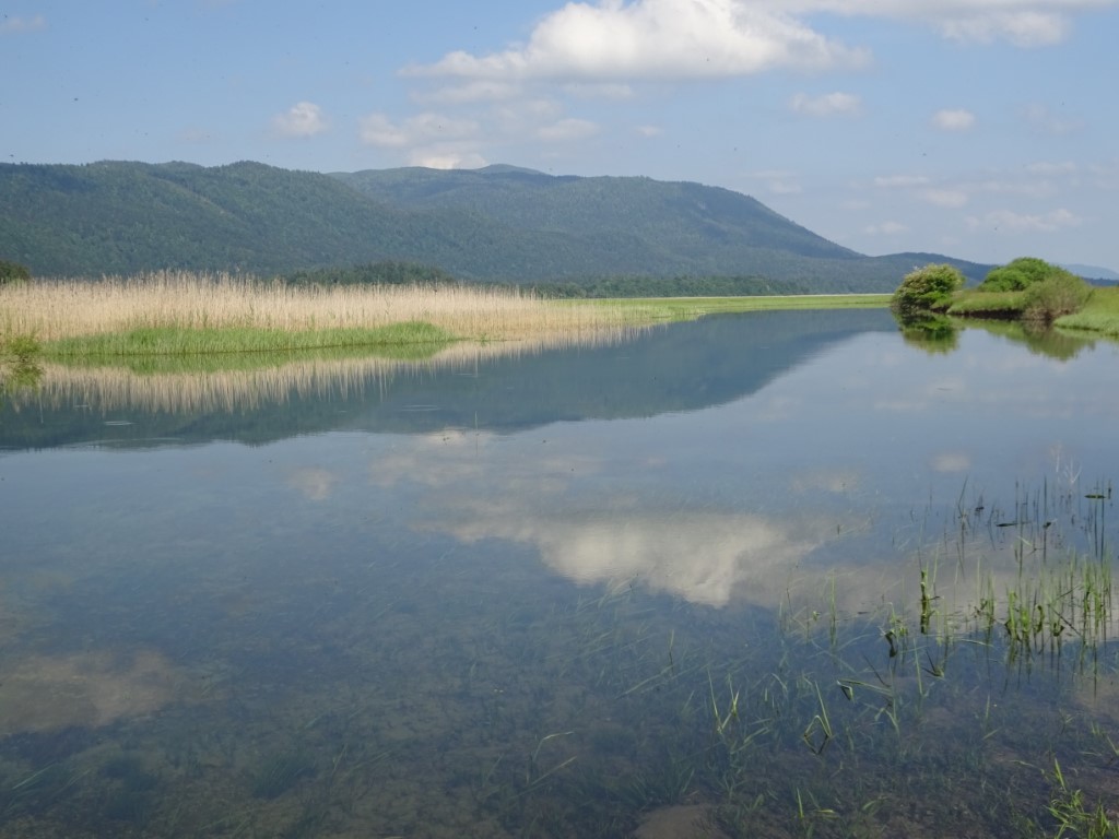 Lake Cerknica Scenery